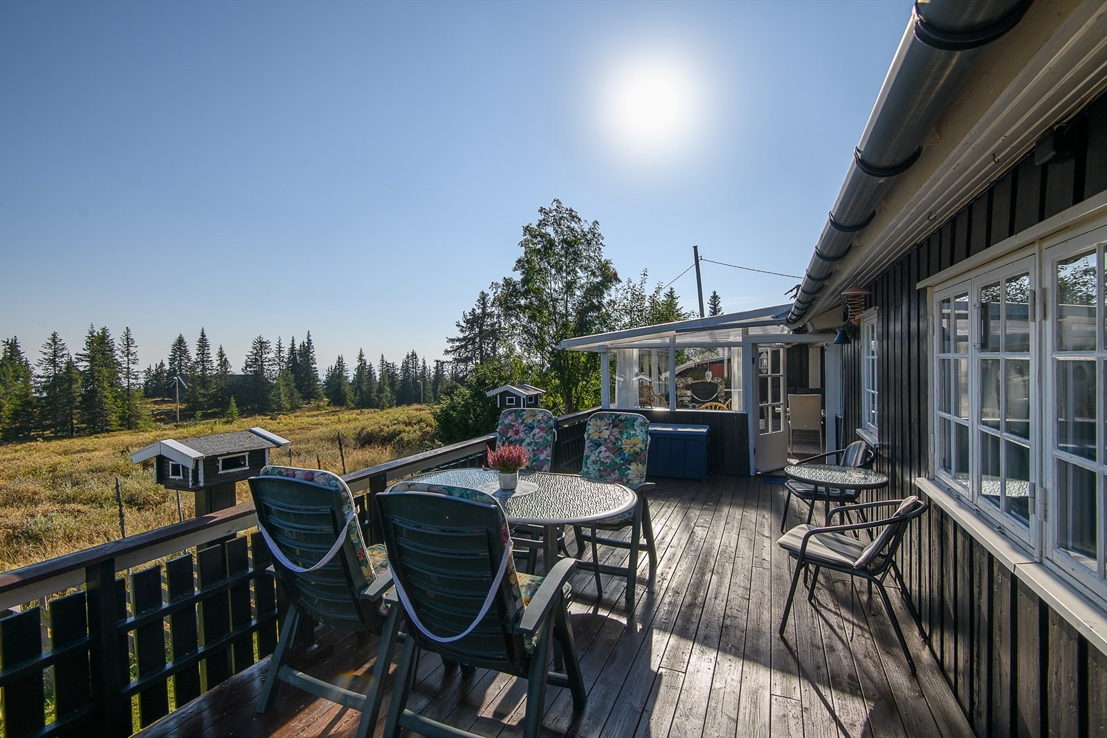 Triveliglie omgivelser rundt hytta. Meget barnevennlig med liten biltrafikk tett på. Galleribilde