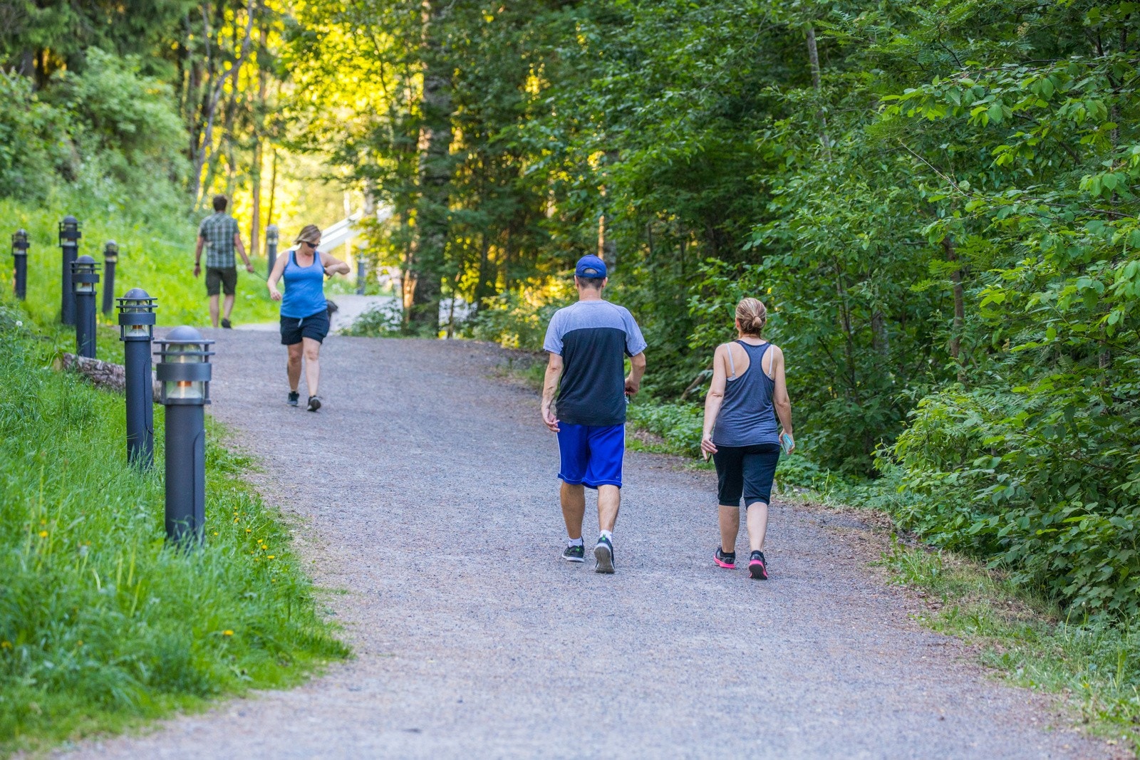 Nyere gangsti rundt vannet. Galleribilde