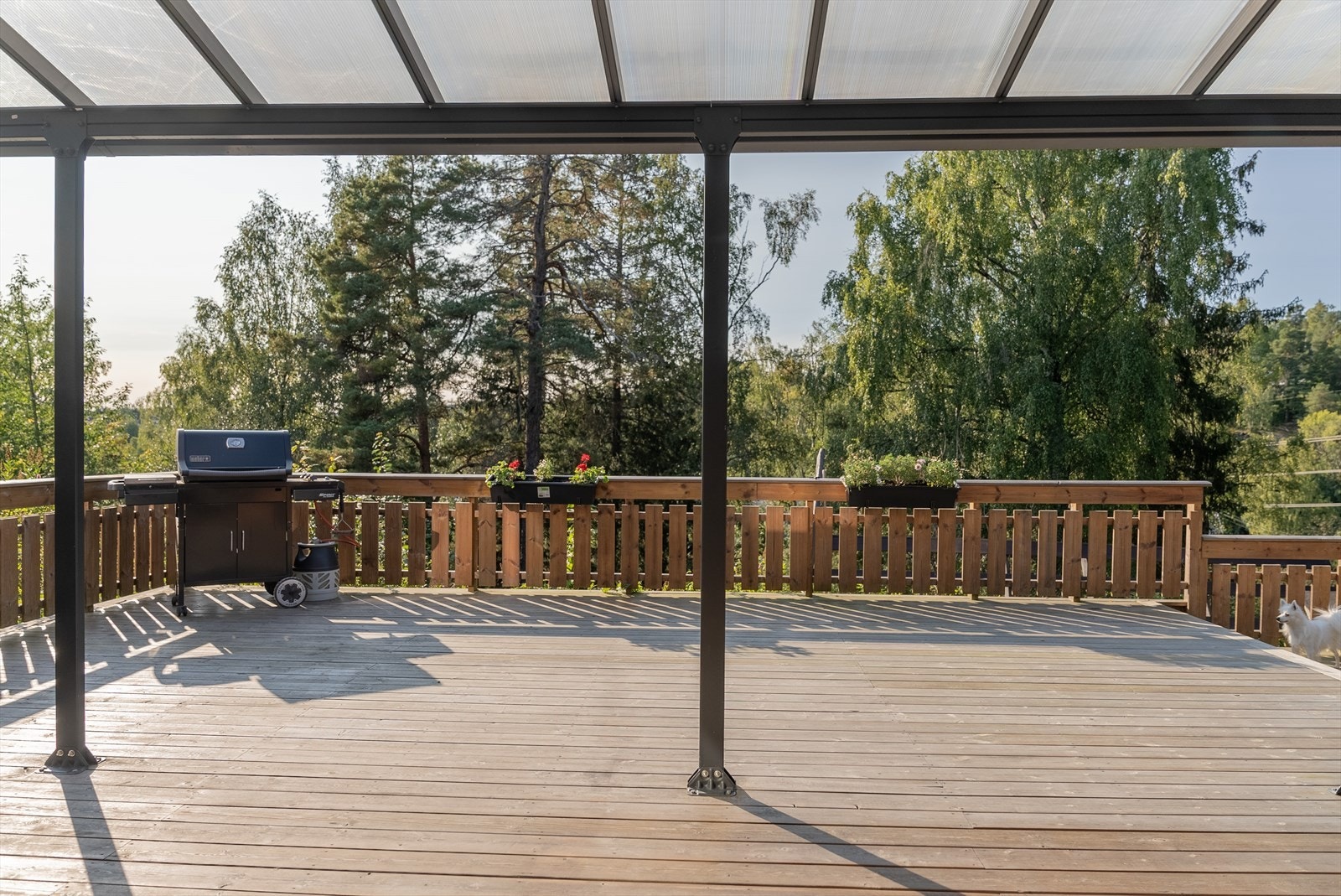 Fra terrassen er det idyllisk og frodig utsyn. Galleribilde