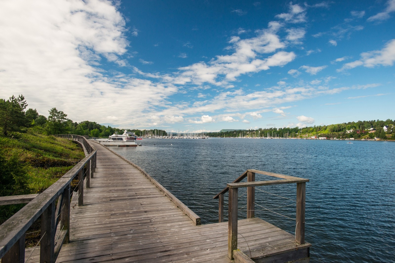 Tursti langs Holtekilen Galleribilde