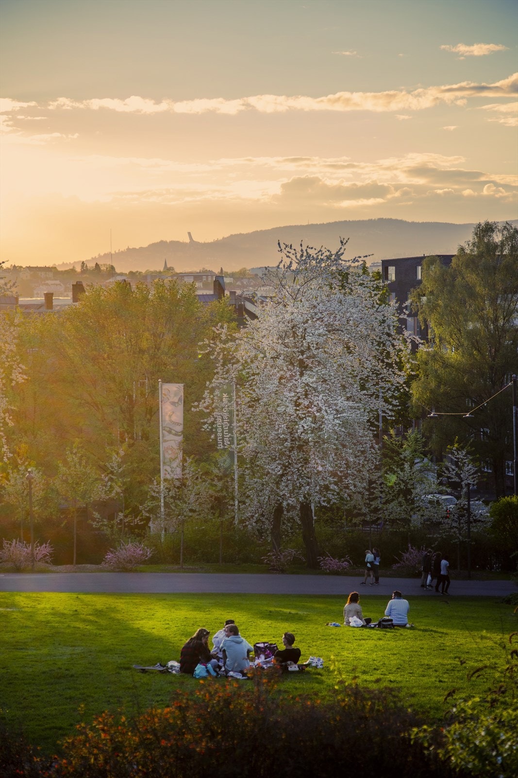 - Nærområdet - Galleribilde
