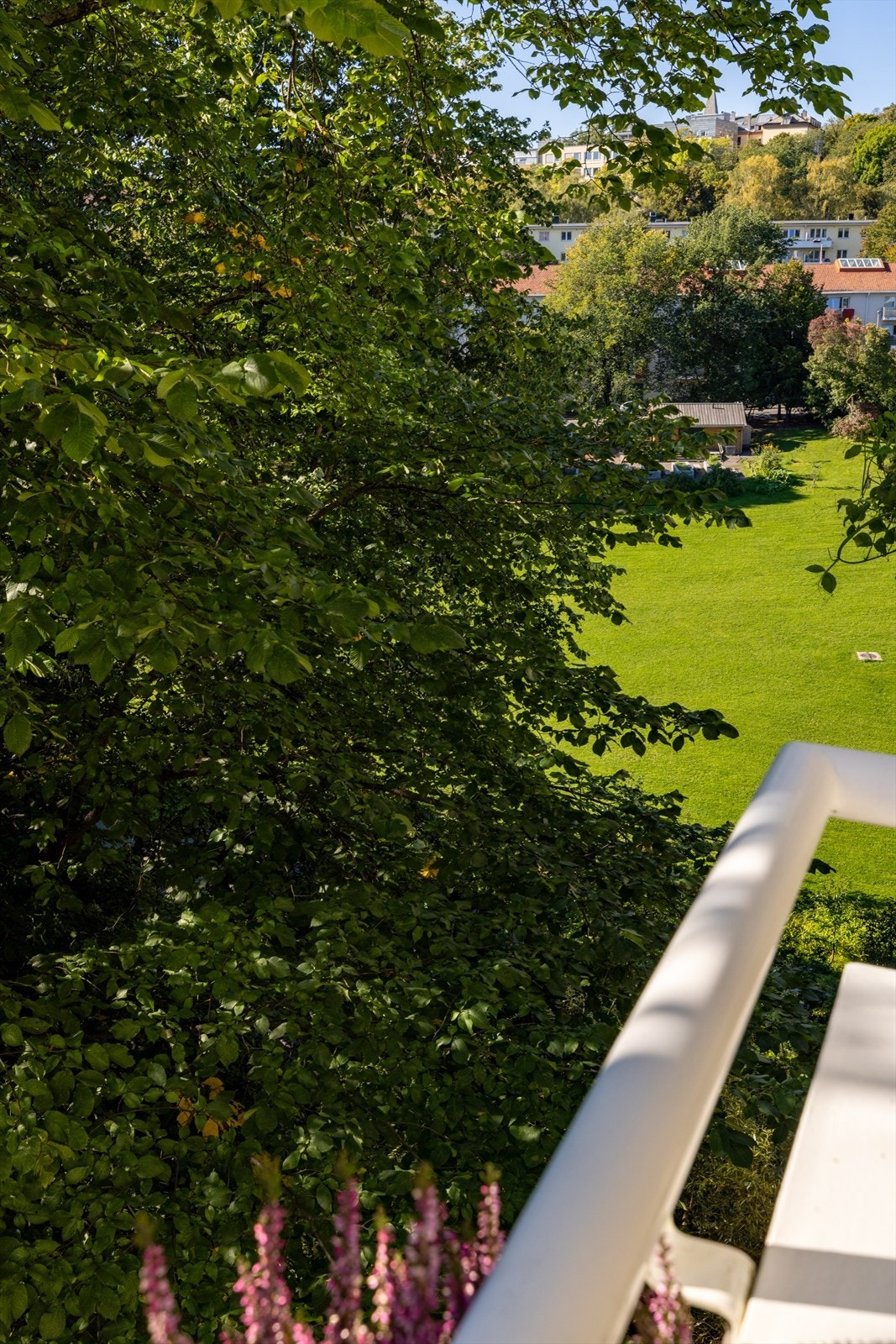 - Boligen ligger rett ved Iladalen park - Galleribilde