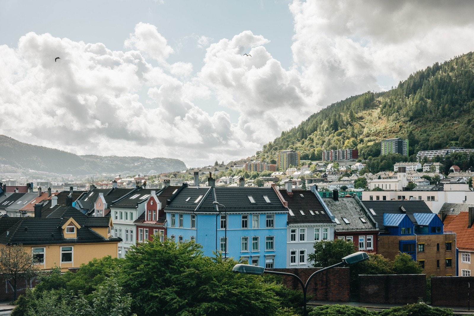 Møhlenprisbakken 2 - August 2024-9 Galleribilde