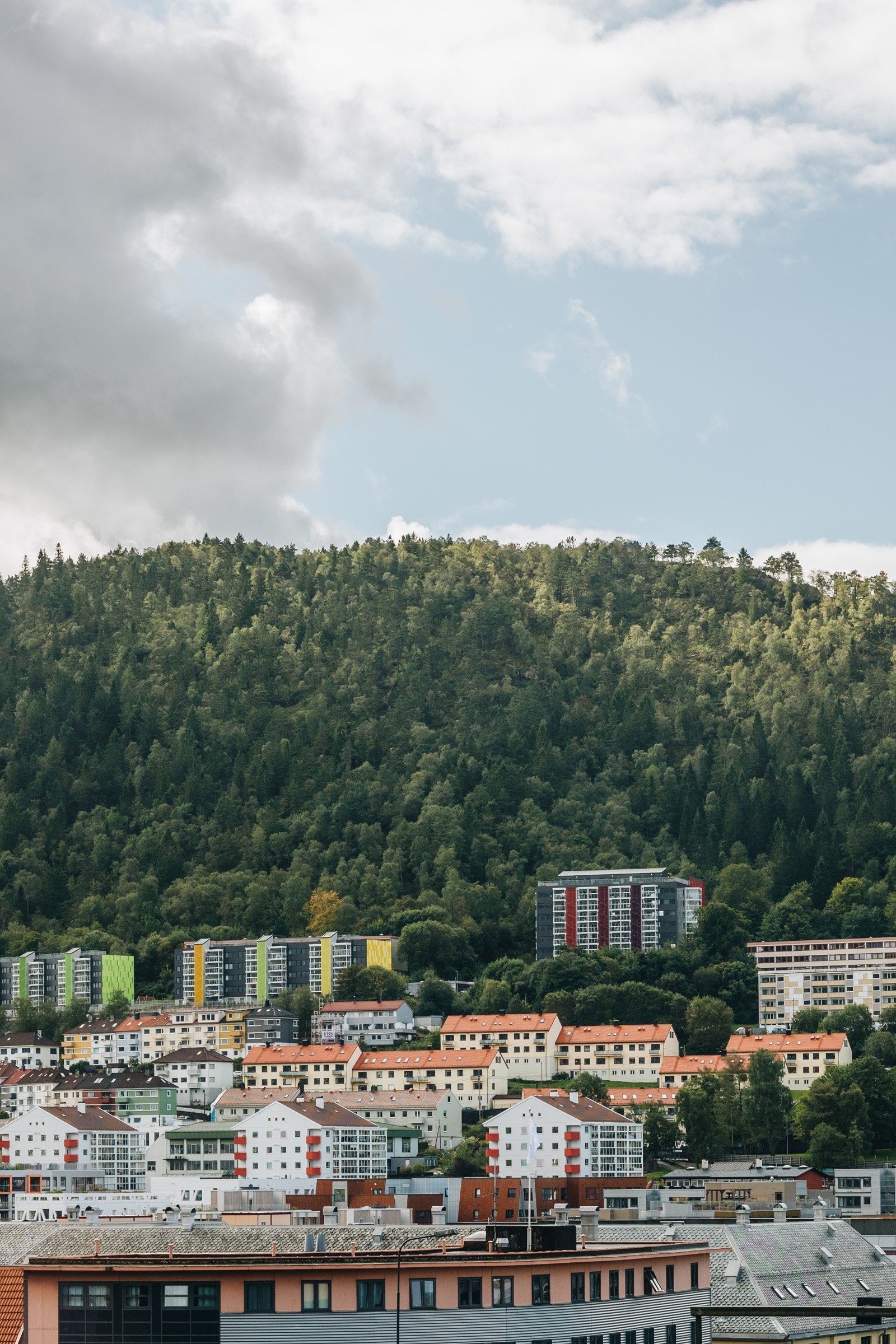 Møhlenprisbakken 2 - August 2024-8 Galleribilde