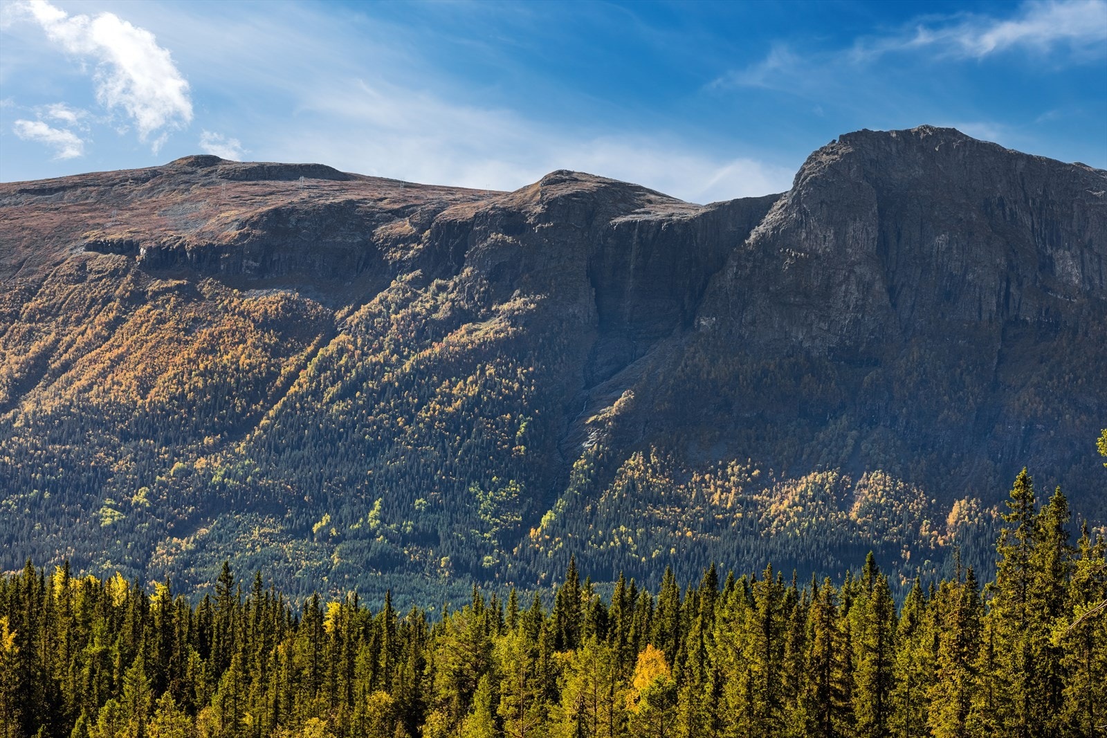 Området har mektig utsikt til fjellene i sør og nærheten til flotte turmuligheter. Galleribilde