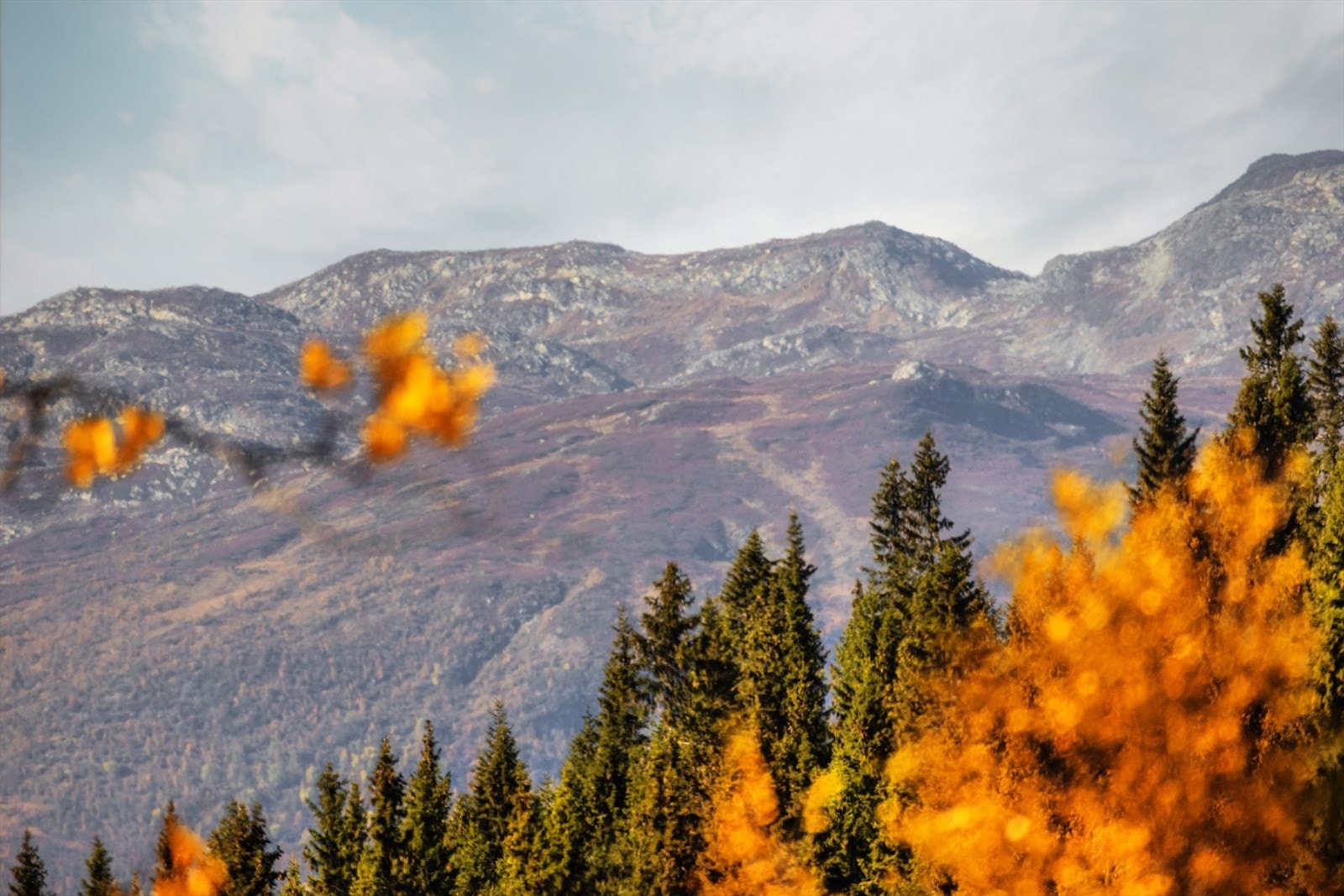 Fjellmegleren har gleden av å presentere flott utsiktstomter ved Strupa- Gravset. Kun 3 tomter igjen for salg! Galleribilde