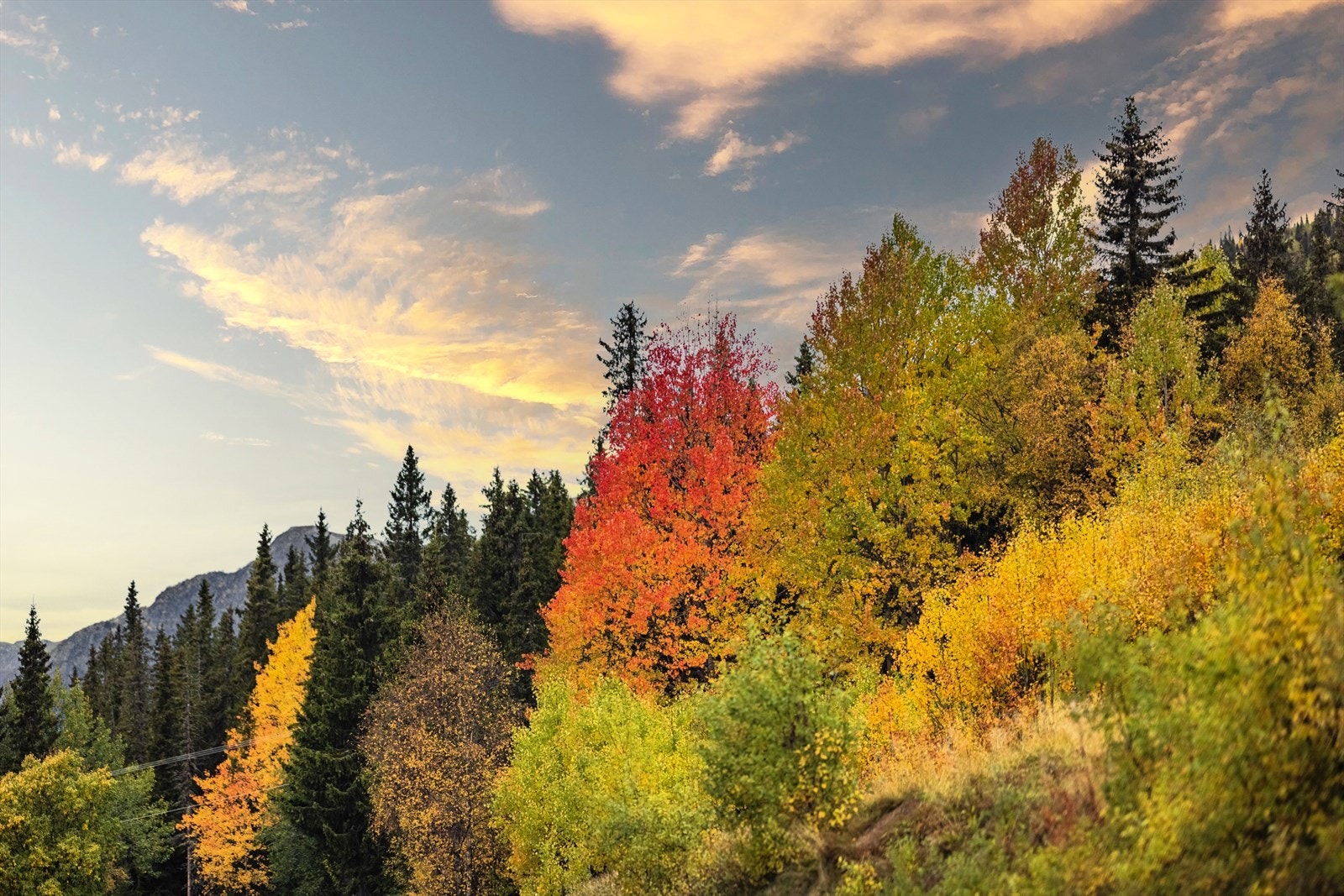 Nærområdet har nydelig turmuligheter året rundt. Galleribilde
