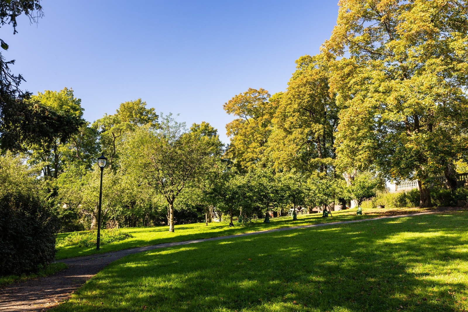 Briskeby parken eller Langaardsløkka et steinkast unna. Galleribilde