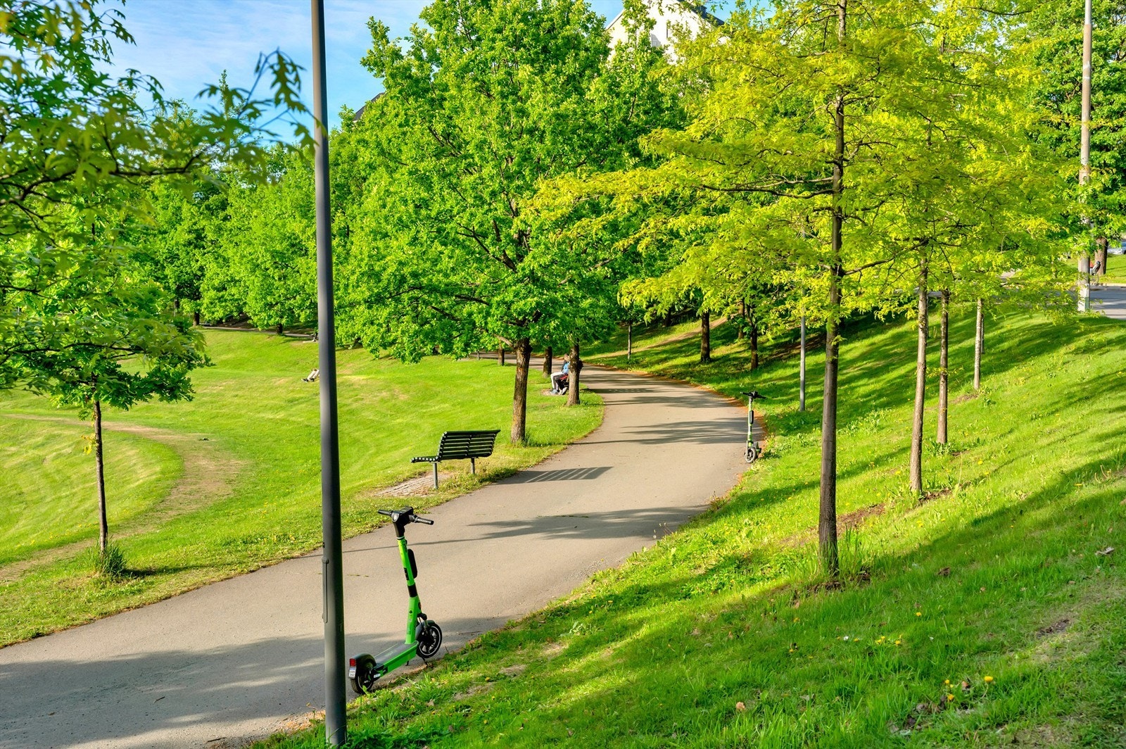 Tøyenparken er like i nærheten Galleribilde