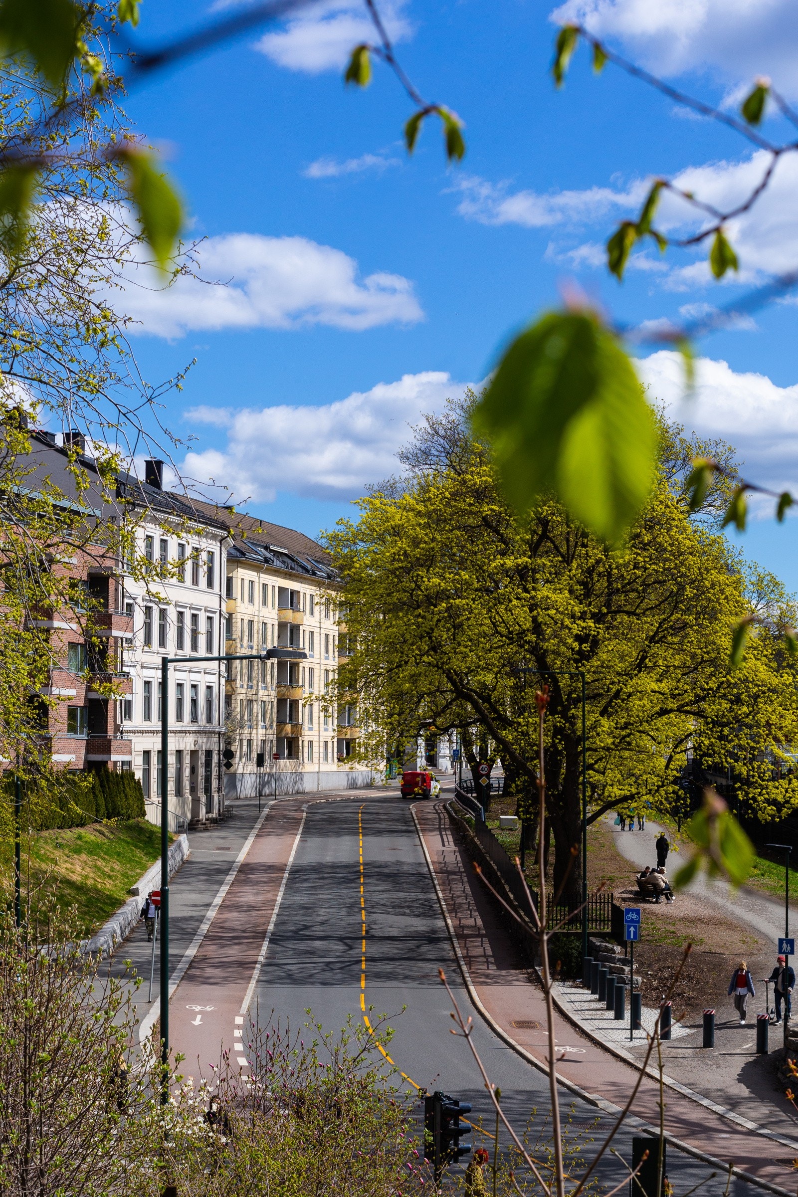 Nærormådet - Åkebergveien har blitt en flott paradegate med beplantning og benker. Galleribilde