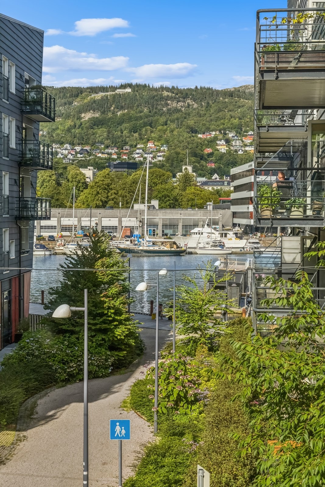 Områdebilde Galleribilde