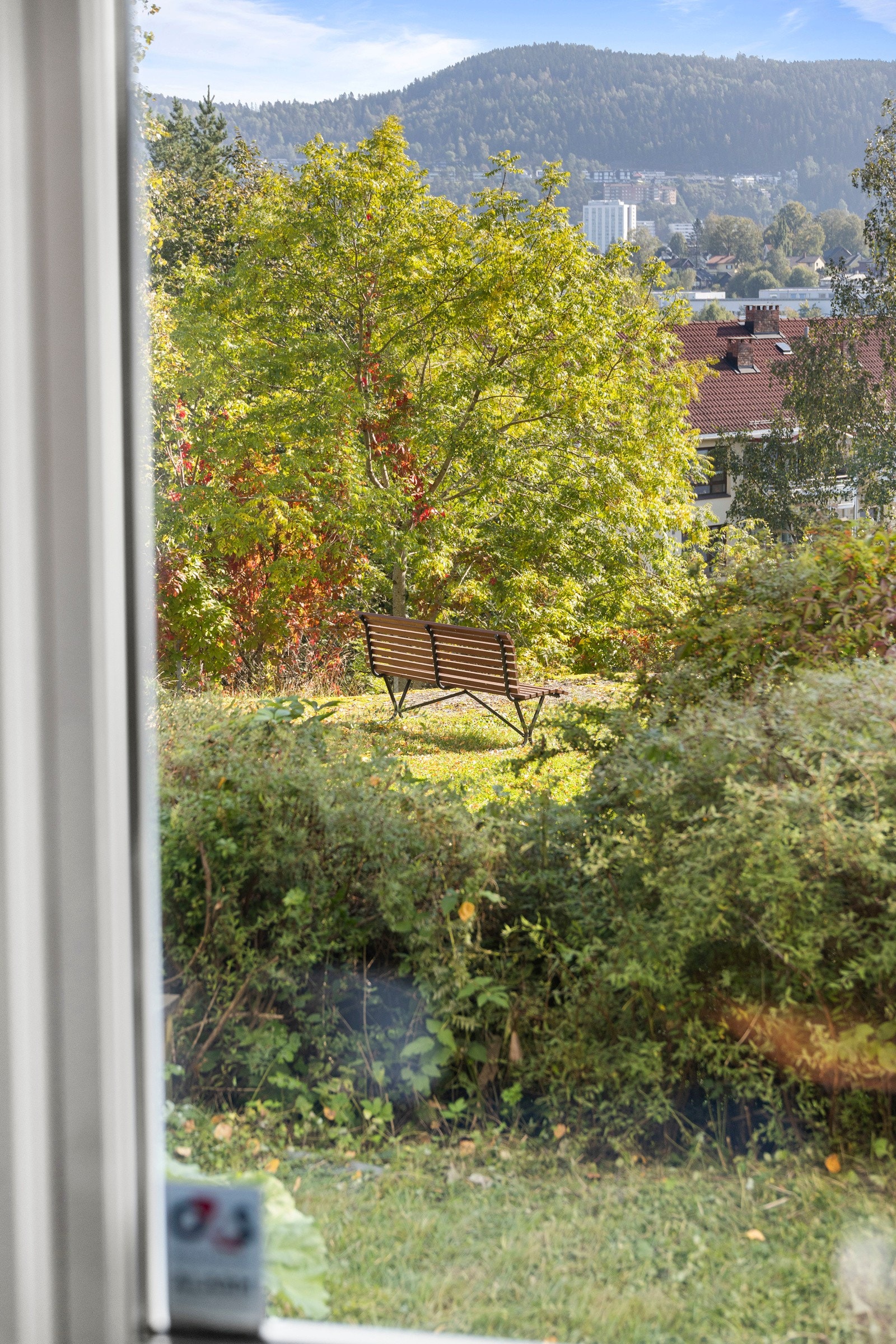 Utsikt fra stuen. Galleribilde