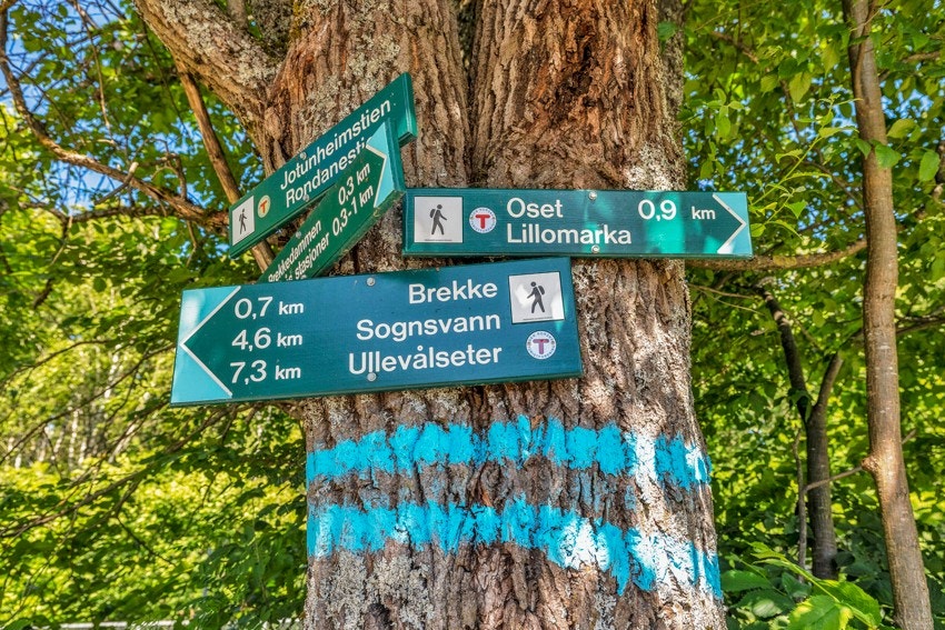 Flotte turløyper i området, sommer som vinter. Galleribilde