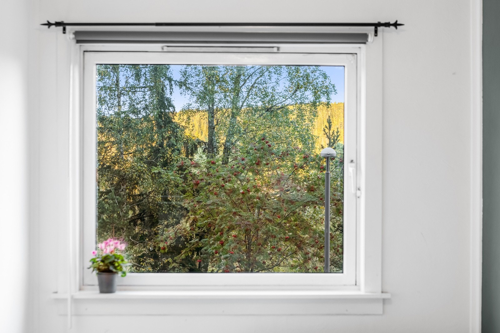 Hyggelig utsyn fra begge soverommene. Galleribilde