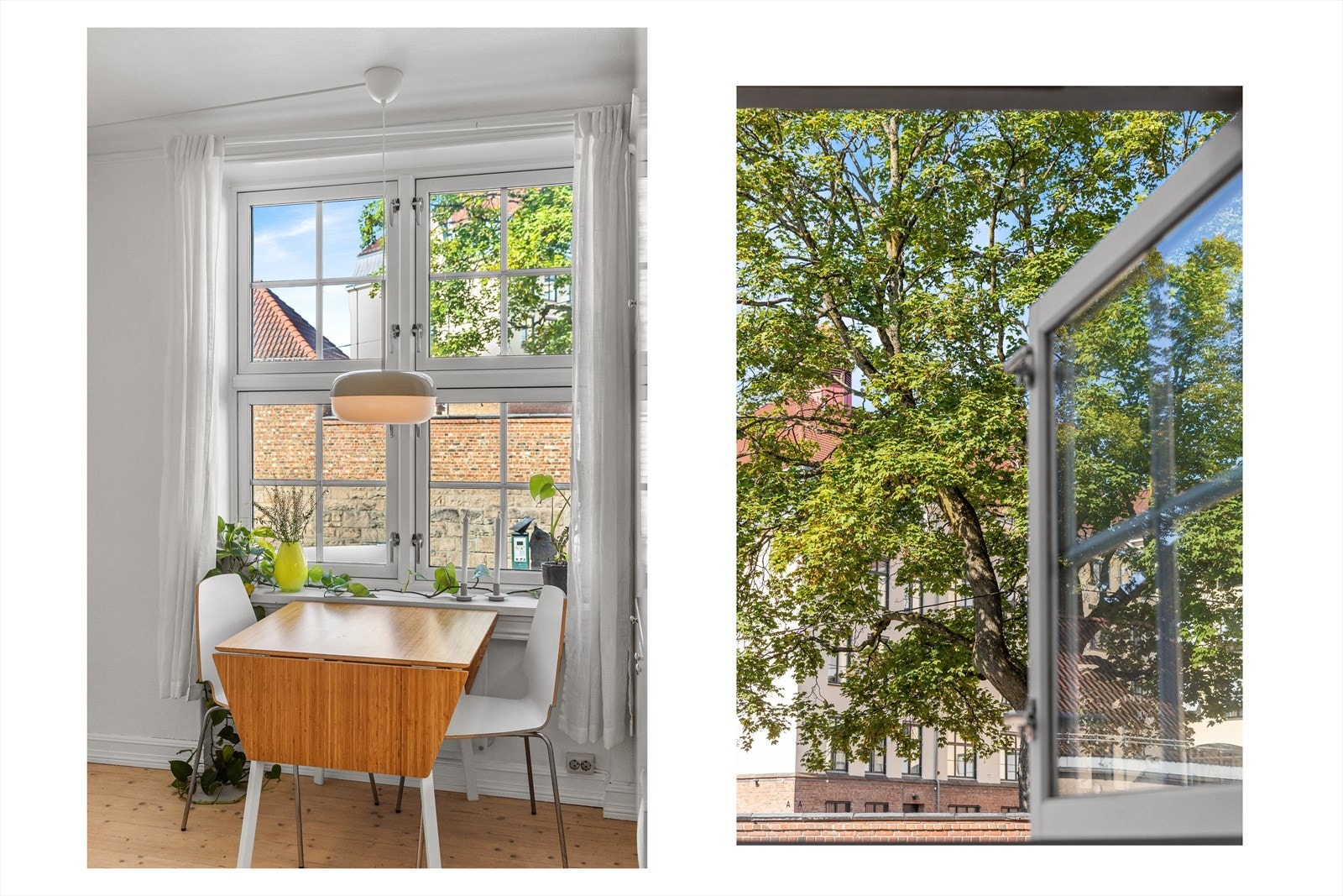 - Store vindusflater slipper inn godt med lys. Samt brede vinduskarmer - Galleribilde