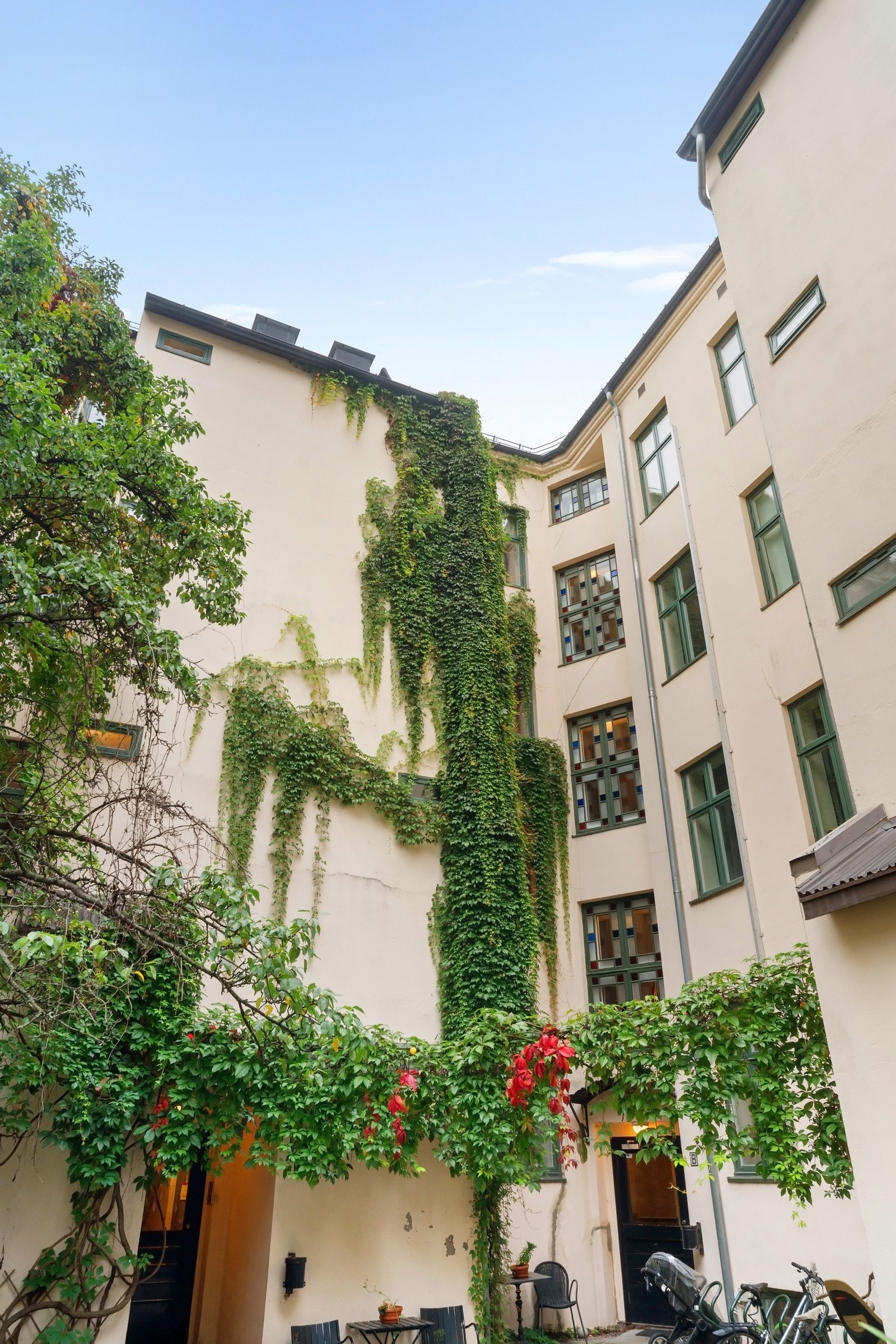 Bakgården er flott med vekster og beplantning Galleribilde