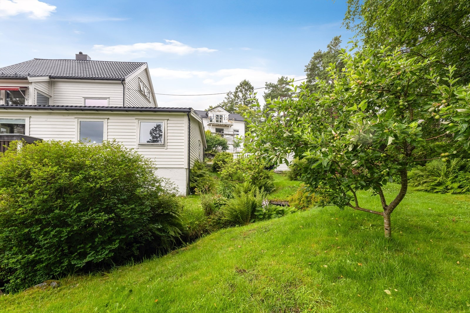 - Hagen er pent opparbeidet og vedlikeholdt - Galleribilde