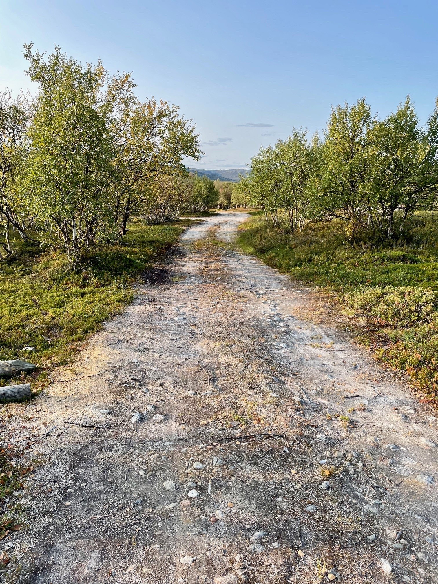 Det går en grusvei fra hovedveien og opp til hytta. Ved vinterbruk må hytteeier holde denne åpen. Galleribilde