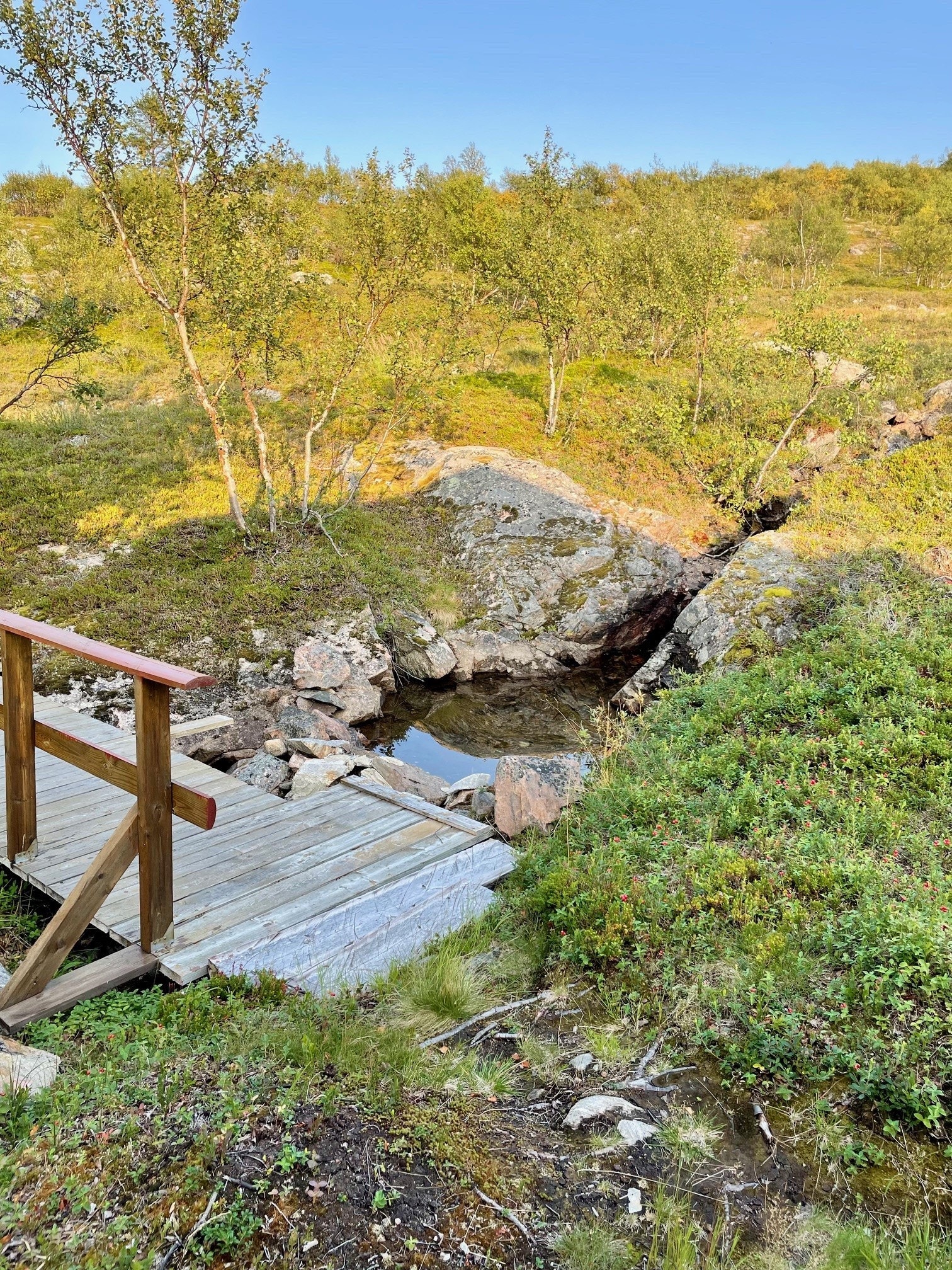 Det er adkomst til hyttetunet over gangbru. Sommervann kan hentes fra bekken, men denne er frossen om vinteren. Galleribilde