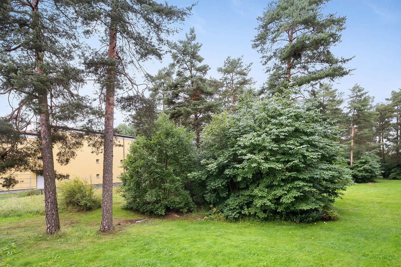 Pent opparbeidede fellesarealer Galleribilde