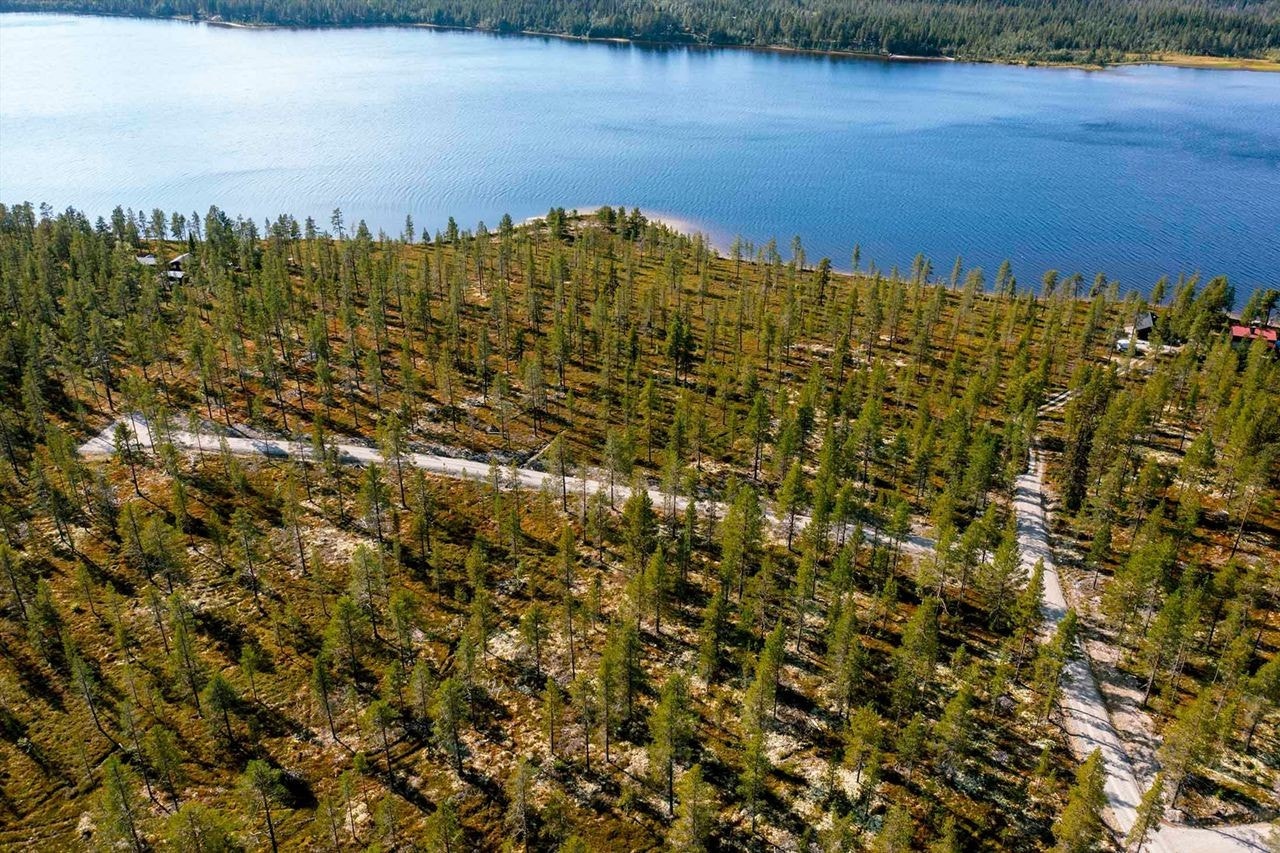 Hyttefeltet har en fin og idyllisk beliggenhet ved Harrsjøen Galleribilde