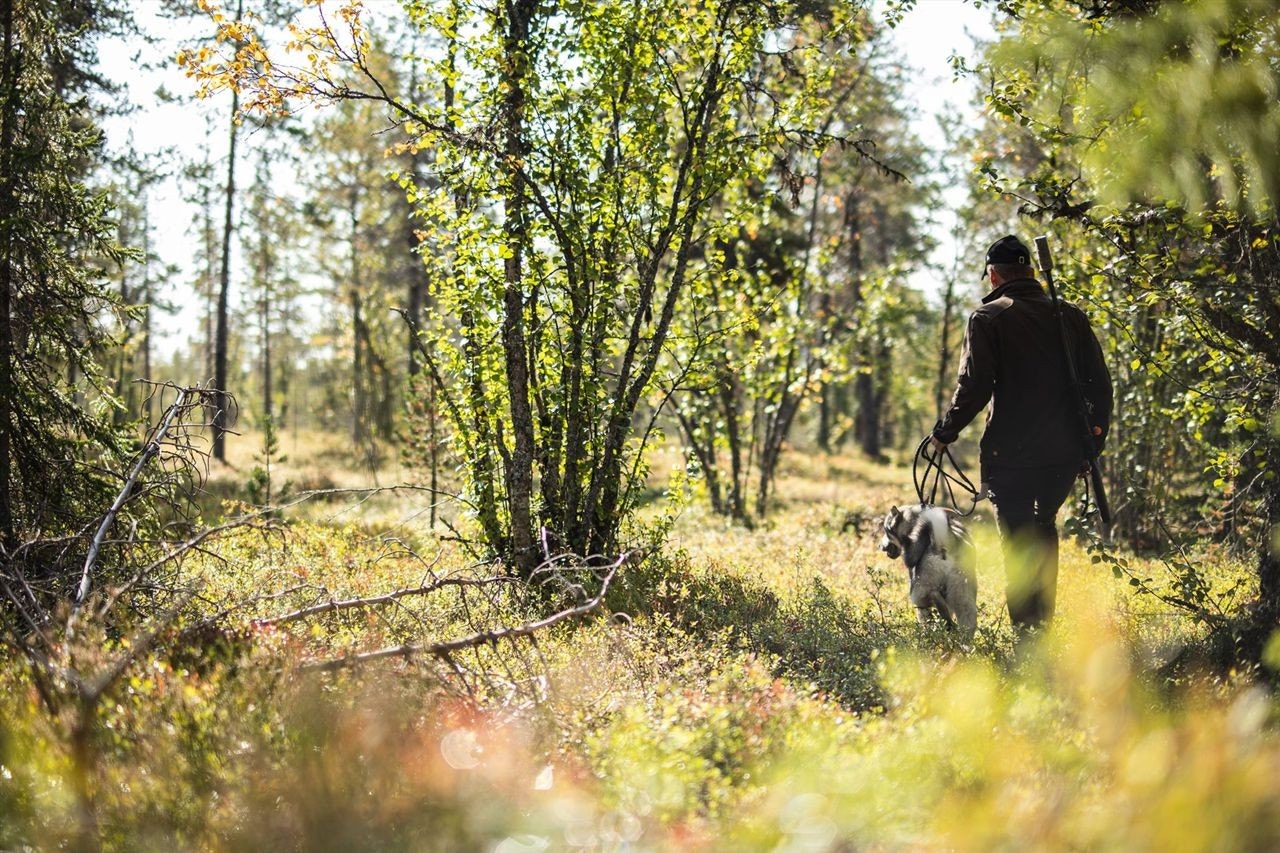 Det er gode jaktmuligheter i nærområdet Galleribilde