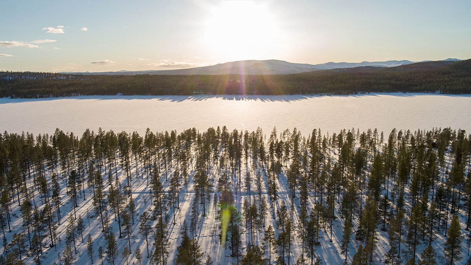 Vinterstemning Galleribilde