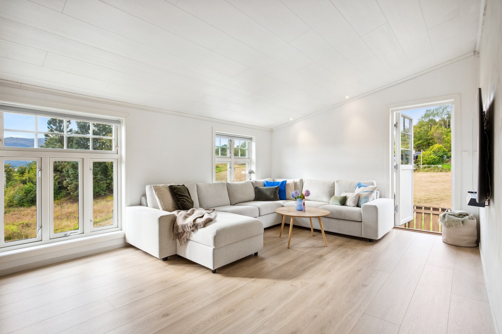 Lys og fin stue med god takhøyde Galleribilde