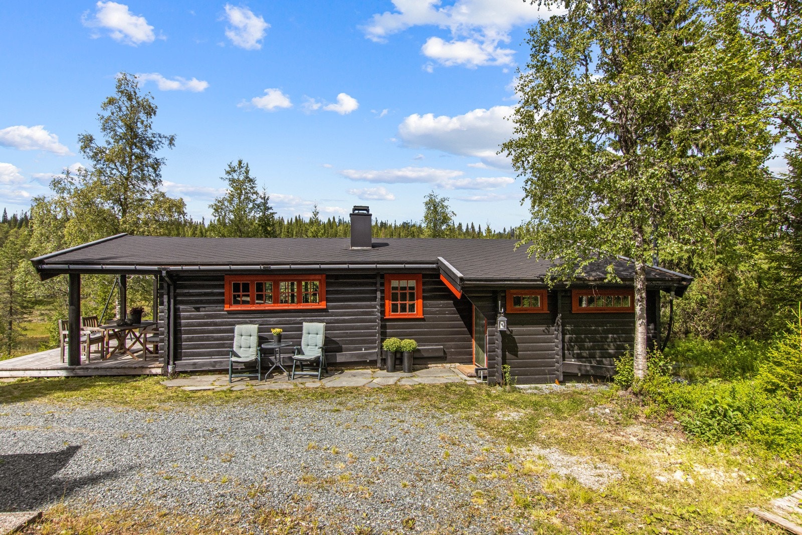 Veg helt fram til hytta. Galleribilde