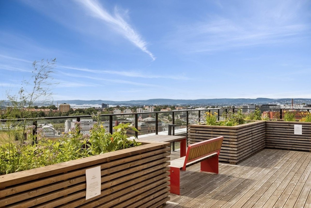 Felles takterrasse med fantastisk utsikt over Oslo Galleribilde