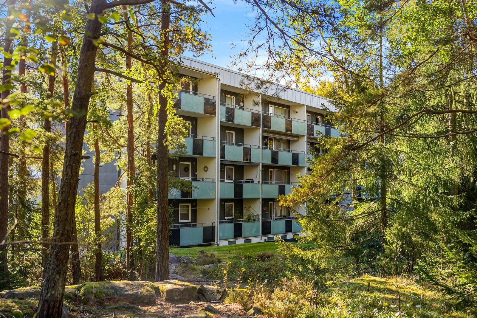 Det er felles tomt for hele borettslaget. Deler av tomten består av skogsvegetasjon og fjell i dagen. Galleribilde