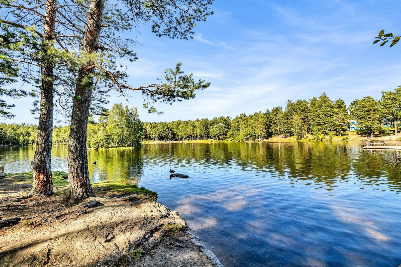 I nærområdet finner man et flust av naturopplevelser, badevann, fiskevann, langrennsløyper, sykling og riding. Galleribilde