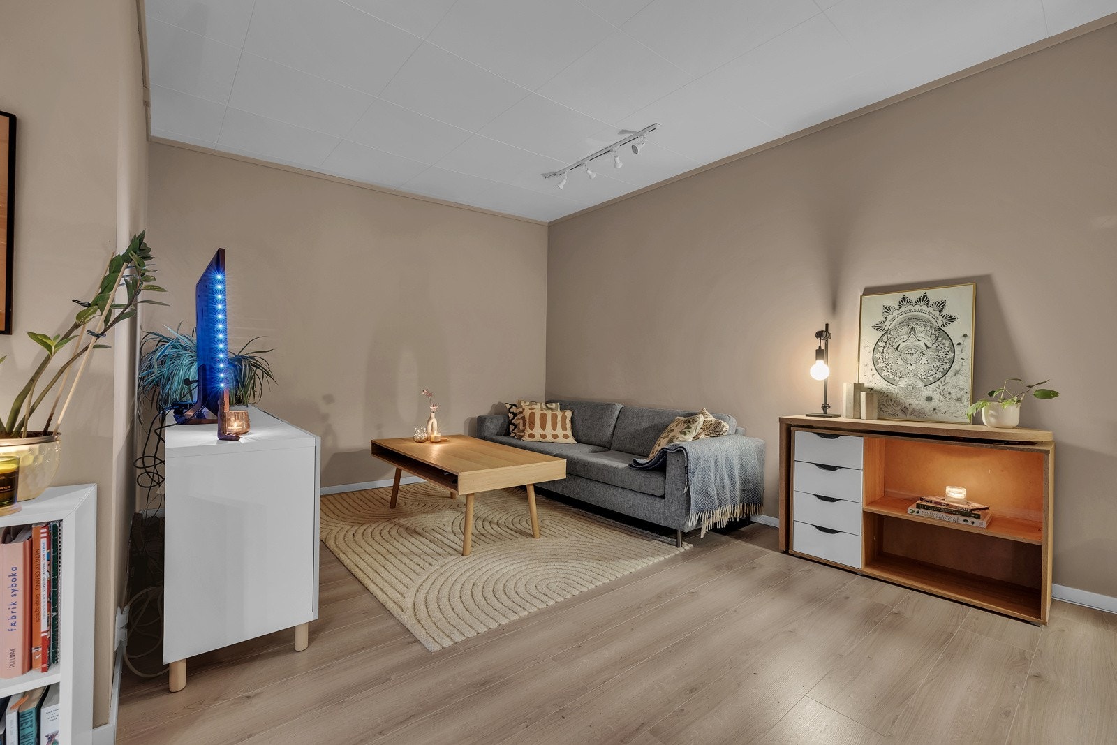God plass til en avslappende sofakrok. Galleribilde