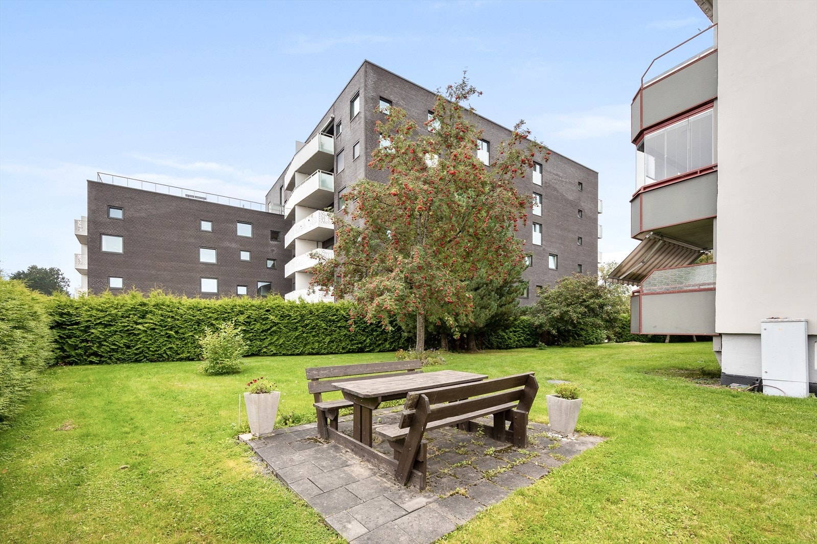 Koselige fellesområder Galleribilde