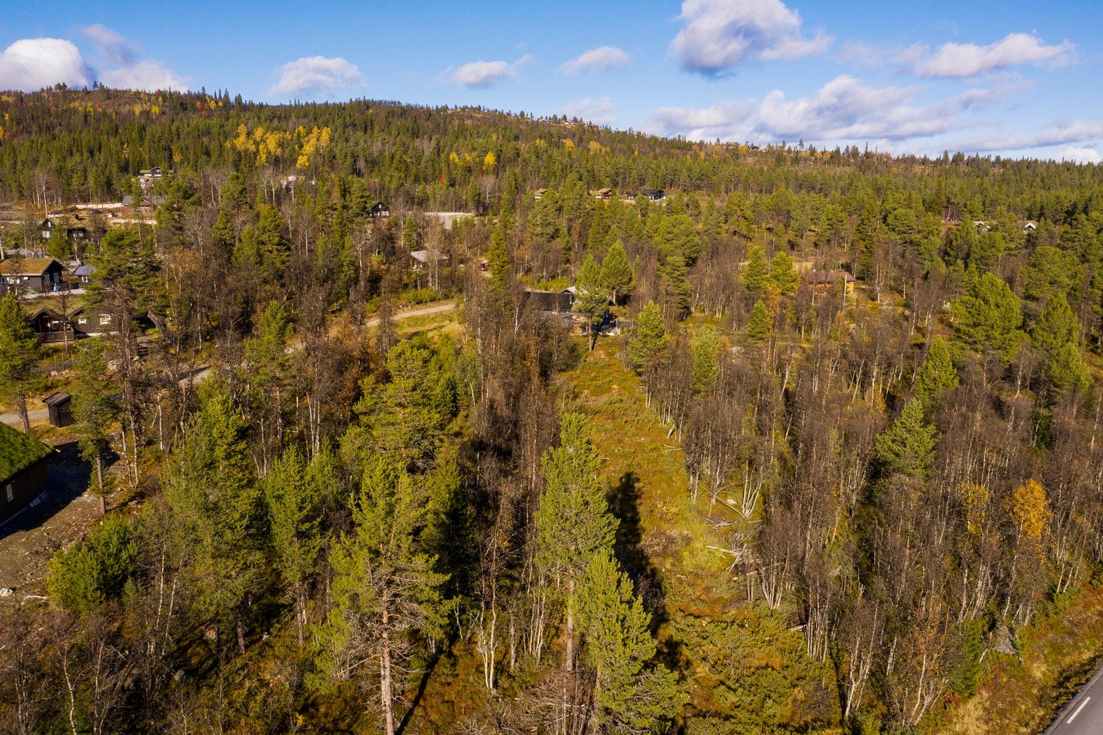 Stor og romslig tomt, tilnærmet flat, enkel å bebygge Galleribilde