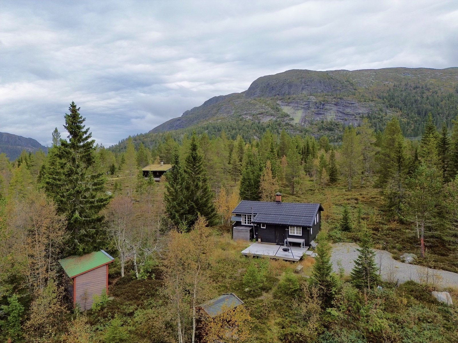 Velkommen til visning! Galleribilde