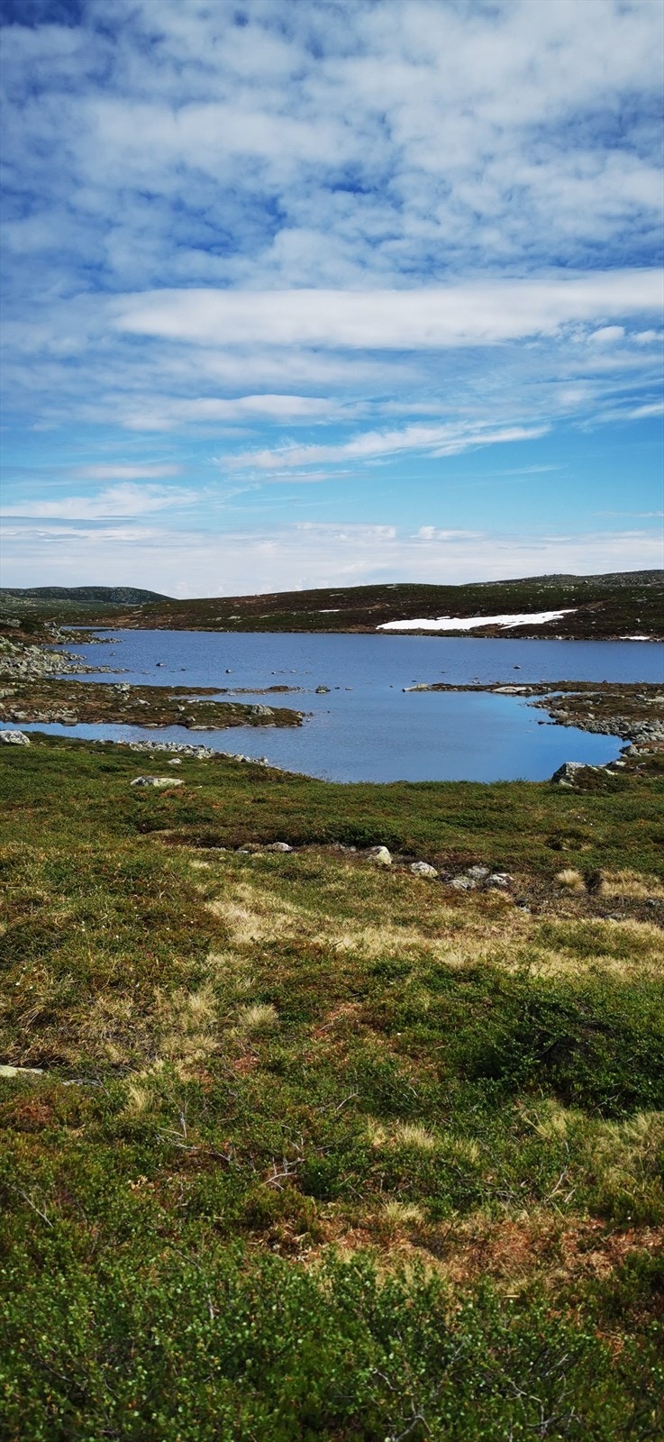 Selgers egne bilder fra området. Galleribilde