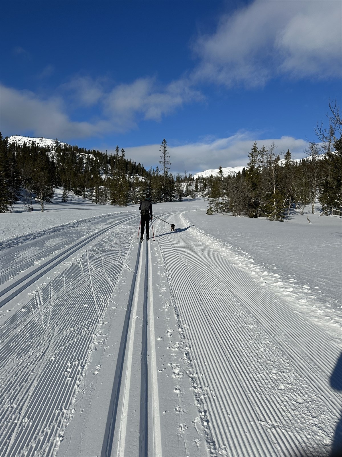 Selgers egne bilder fra området. Galleribilde