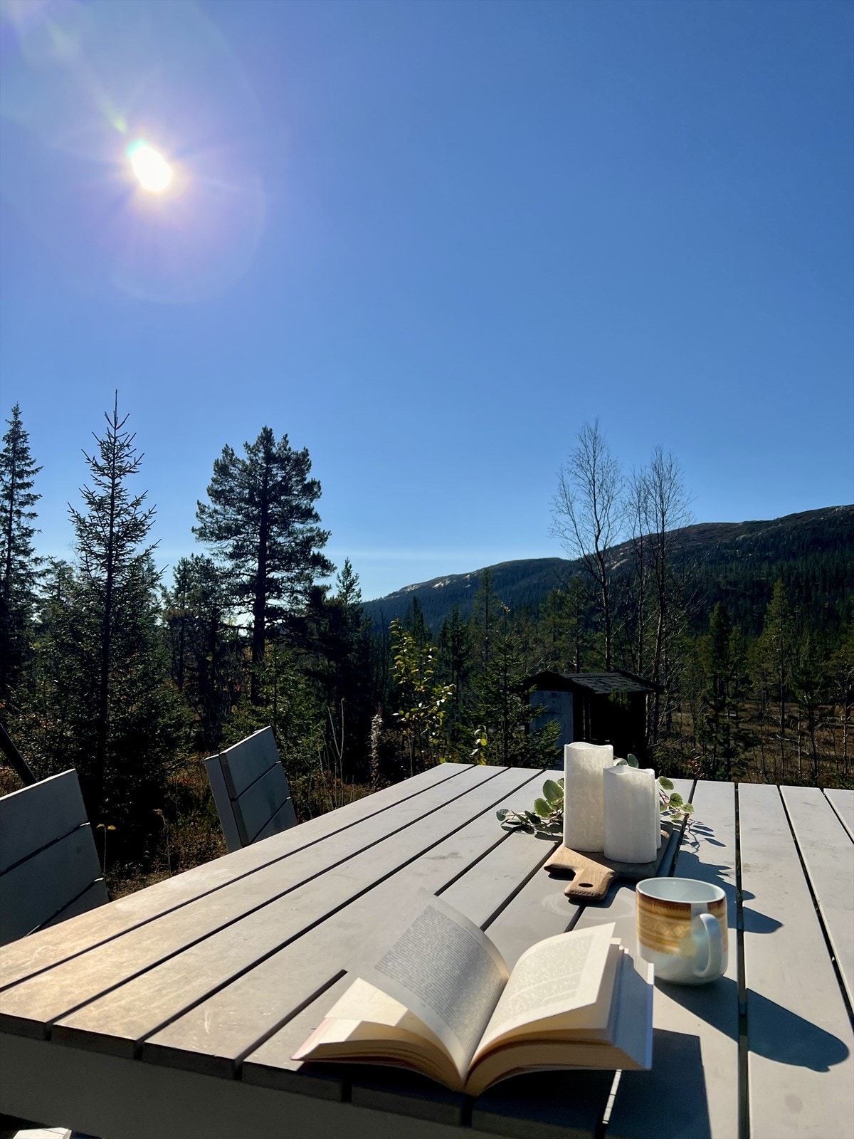 Eiendommen ligger sydvestvendt med gode solforhold på ca. 730 moh. Galleribilde