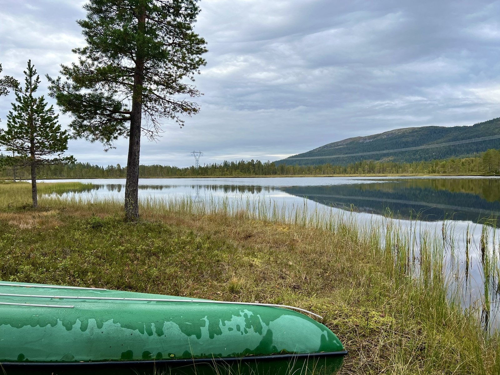 Svangtjernet, som ligger omtrent 750 meter unna, er et sjarmerende lite tjern med kanoer og flere robåter tilgjengelig for de som ønsker en tur på vannet. Det er også muligheter for et forfriskende bad Galleribilde
