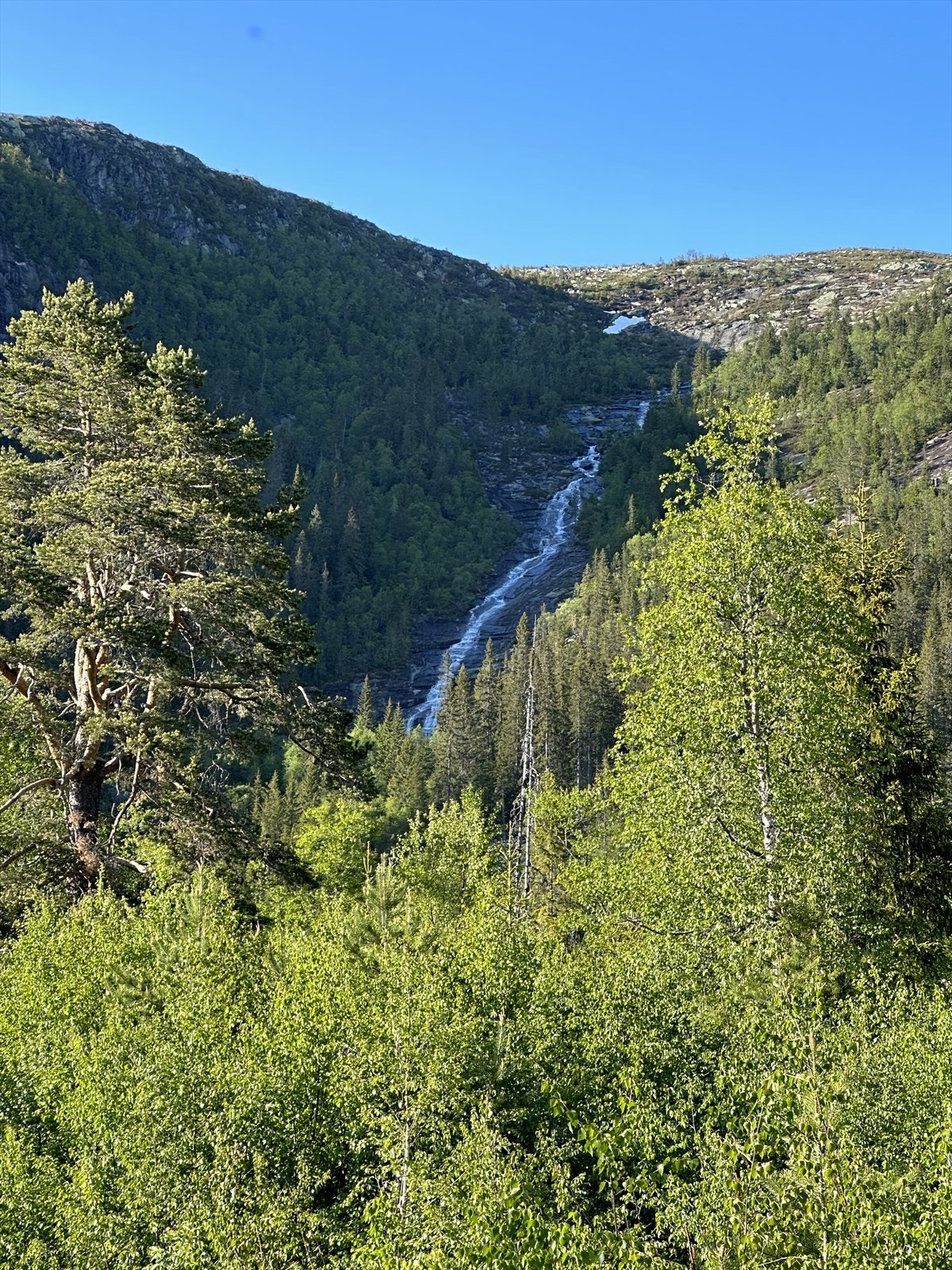 Selgers egne bilder fra området. Galleribilde