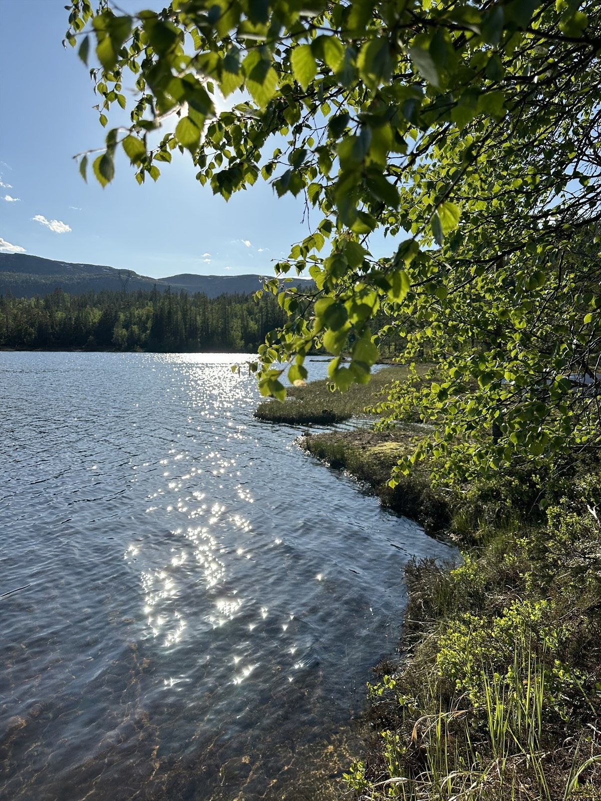 Selgers egne bilder fra området. Galleribilde