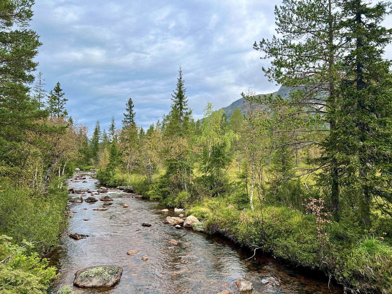 Skardselva går rett nedenfor eiendommen. Galleribilde