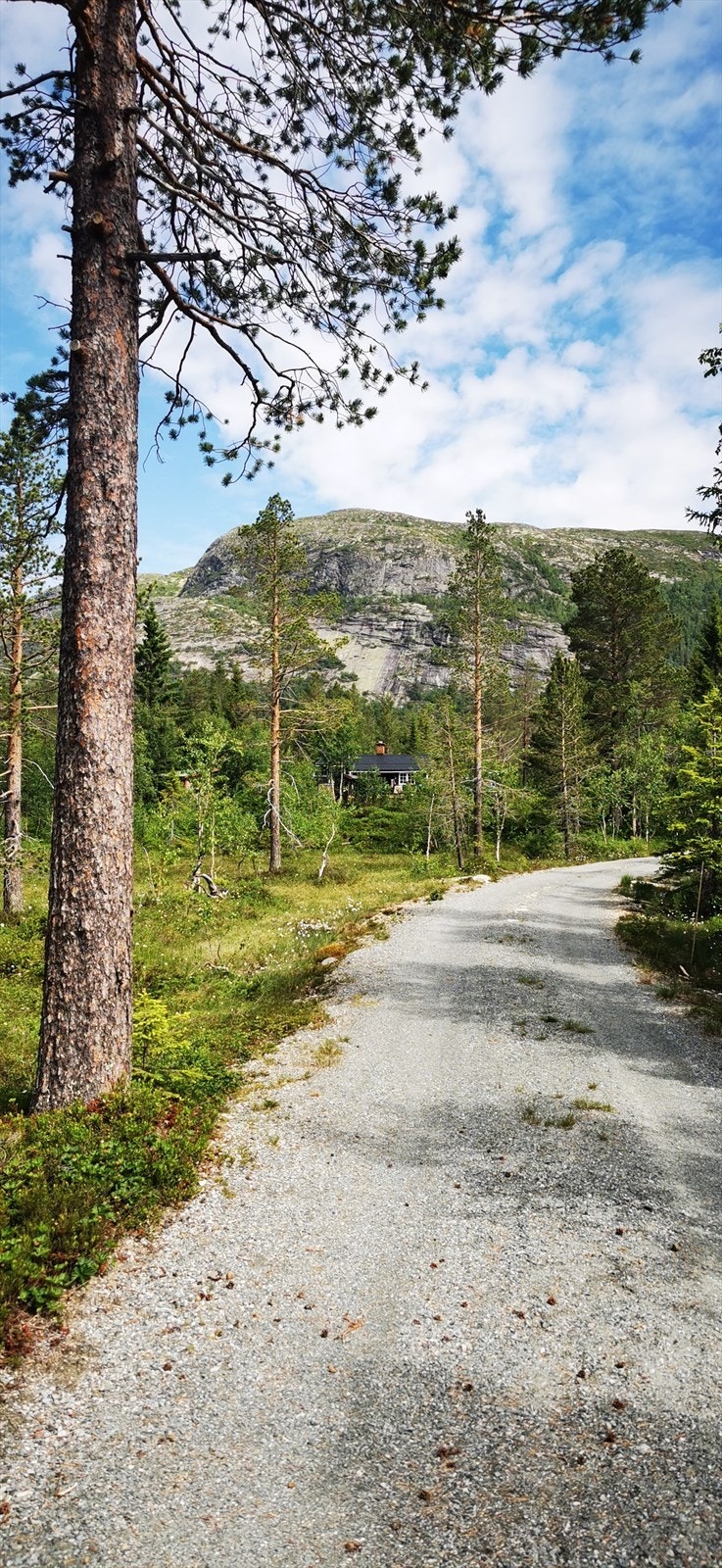 Selgers egne bilder fra området. Galleribilde