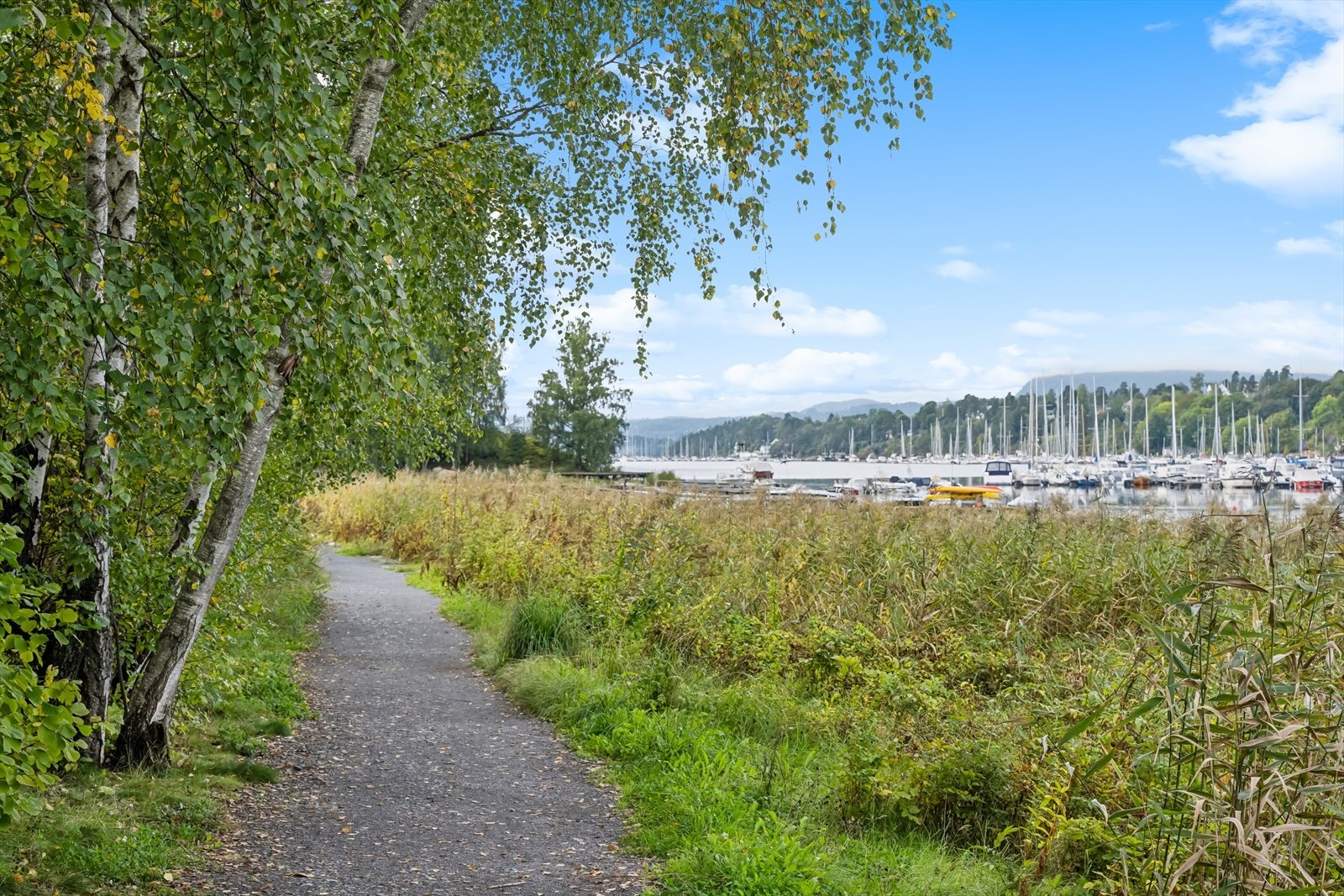 Sjønær beliggenhet på Oksenøya med kyststi til flere friområder. Galleribilde