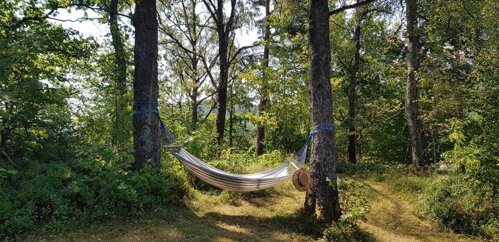 Dette er plassen for deg som drømmer om det gode, gammeldagse hyttelivet i naturen. Galleribilde