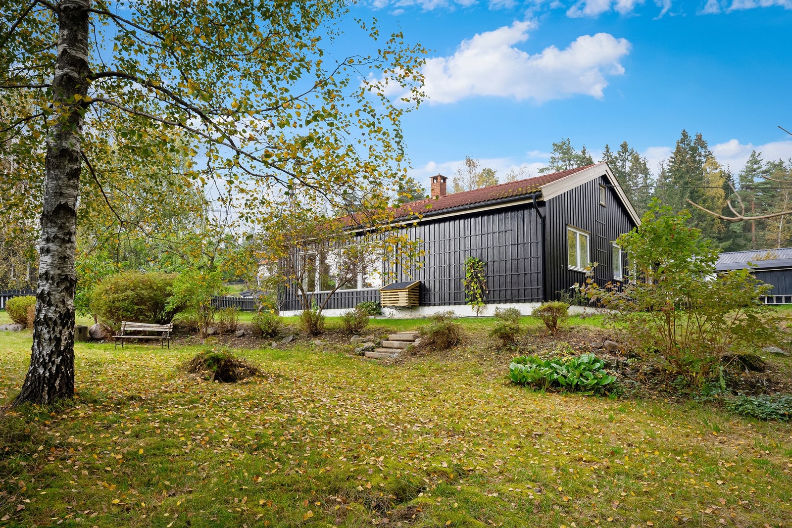 Flott hage med store plenområder, epletrær og beplantet vegetasjon Galleribilde