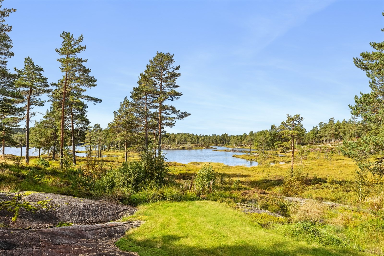 Området har nydelig natur og det er gode muligheter for flotte fjellturer, ferskvannsfiske og bærplukking. Galleribilde