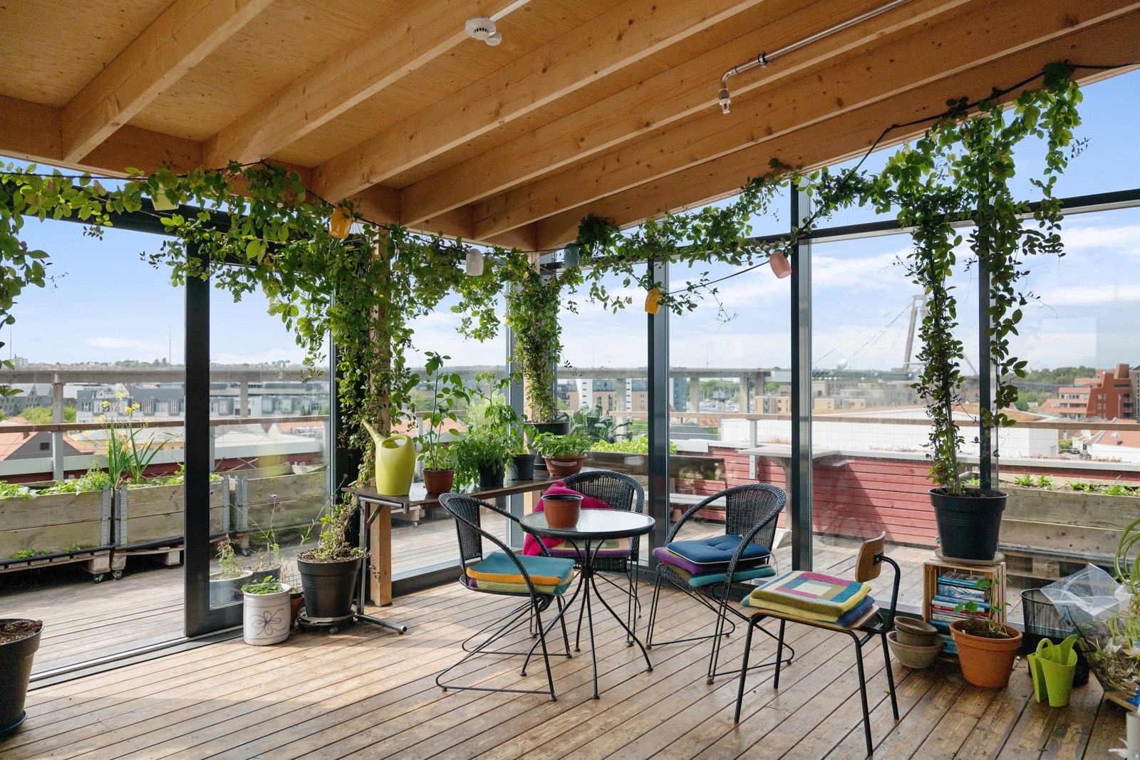 Deler av takterrassen er bygd inn til en grønn vinterhage som også er veksthus. Galleribilde
