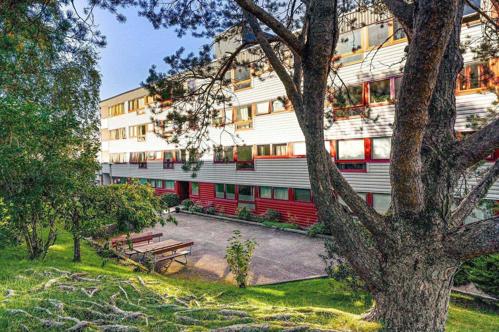 Her kan du ta kaffekoppen med og nyte sol og nærhet til natur Galleribilde